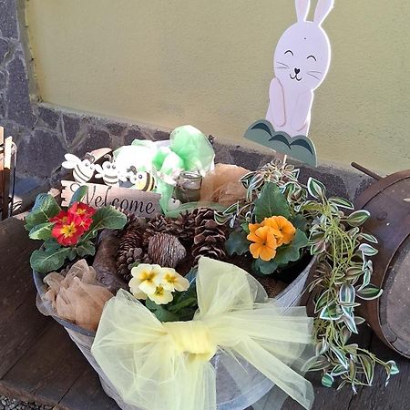 B&B Barbettini Bereguardo ภายนอก รูปภาพ