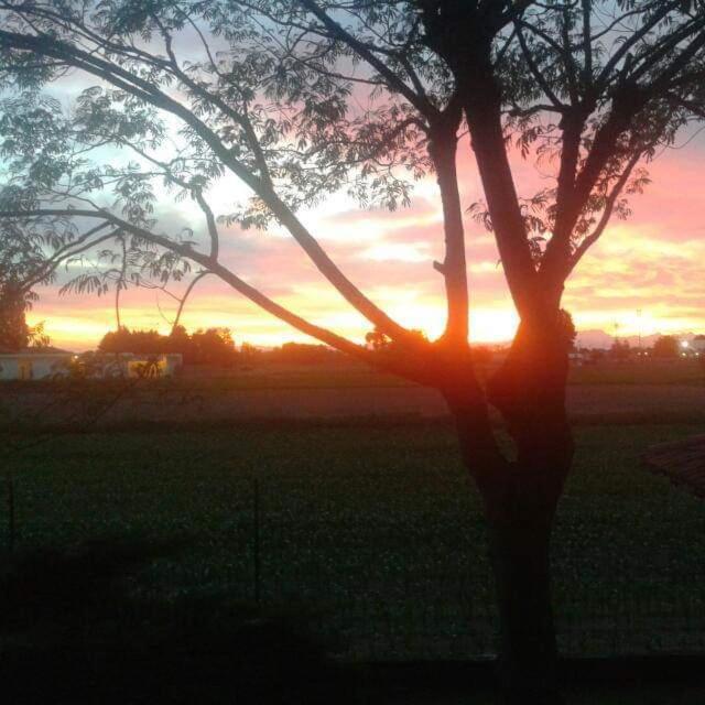B&B Barbettini Bereguardo ภายนอก รูปภาพ